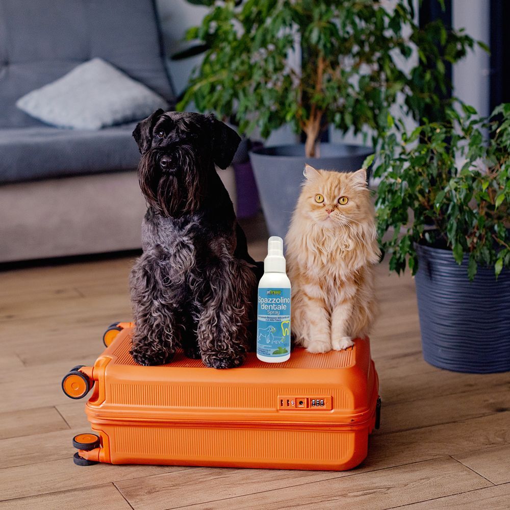 Un cane e un gatto seduti su una valigia accanto a un flacone spray per la cura dentale.