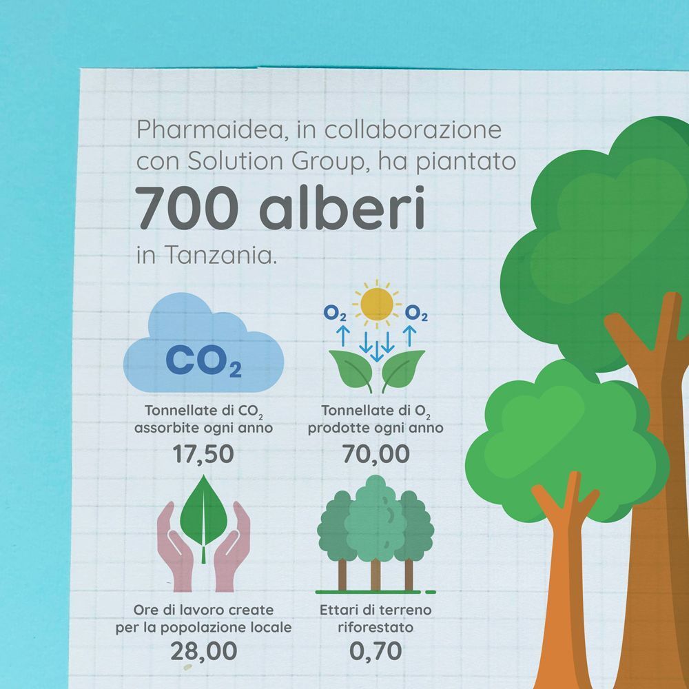 Infografica sulla piantumazione di alberi: 700 alberi in Tanzania, assorbimento CO2, produzione O2, ore di lavoro, superficie riforestata.