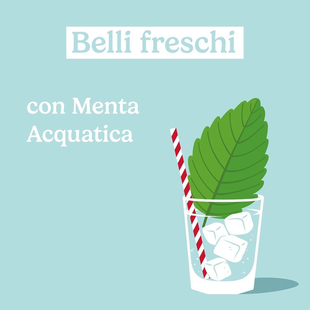 Bicchiere con cubetti di ghiaccio, foglia di menta e cannuccia. "Belli freschi con Menta Acquatica".