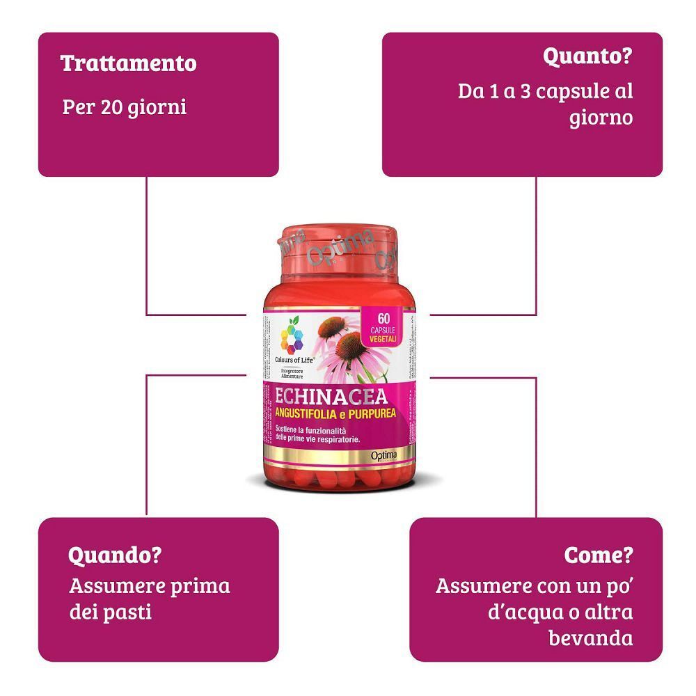 Flacone di capsule di echinacea con infografica su uso, dosaggio e durata.