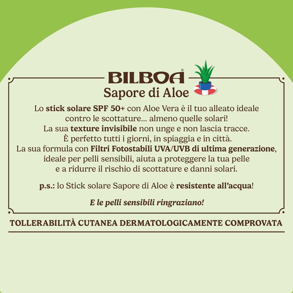 Vista dettagliata degli ingredienti e benefici di uno stick solare all'Aloe Vera.