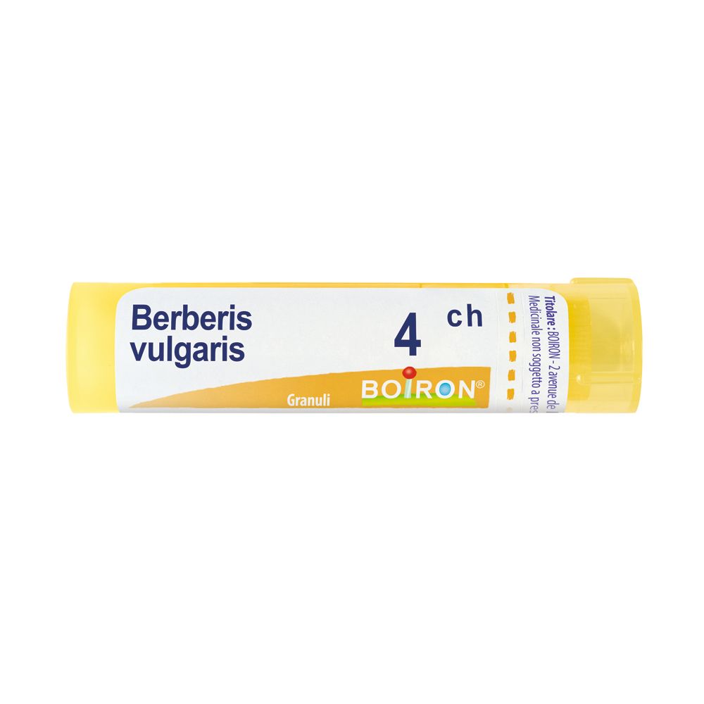 Berberis V 4Ch Gr