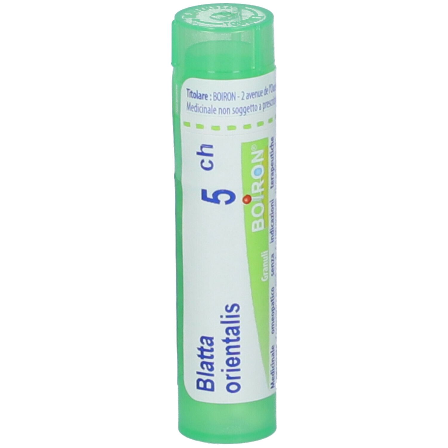 Blatta Orientalis 5Ch Gr