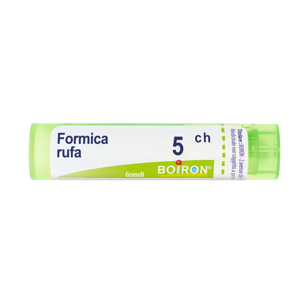 Formica Rufa 5Ch Gr