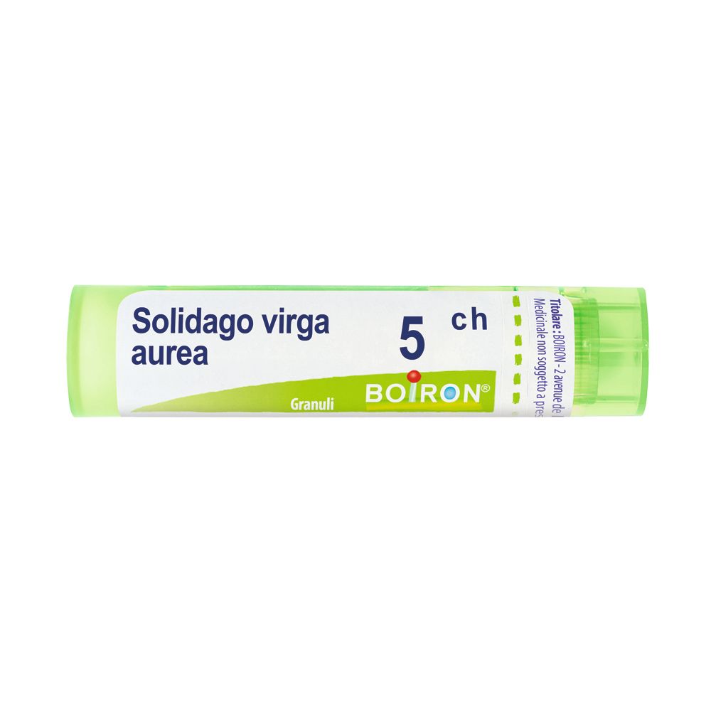 Solidago Virga Aurea 5Ch Gr