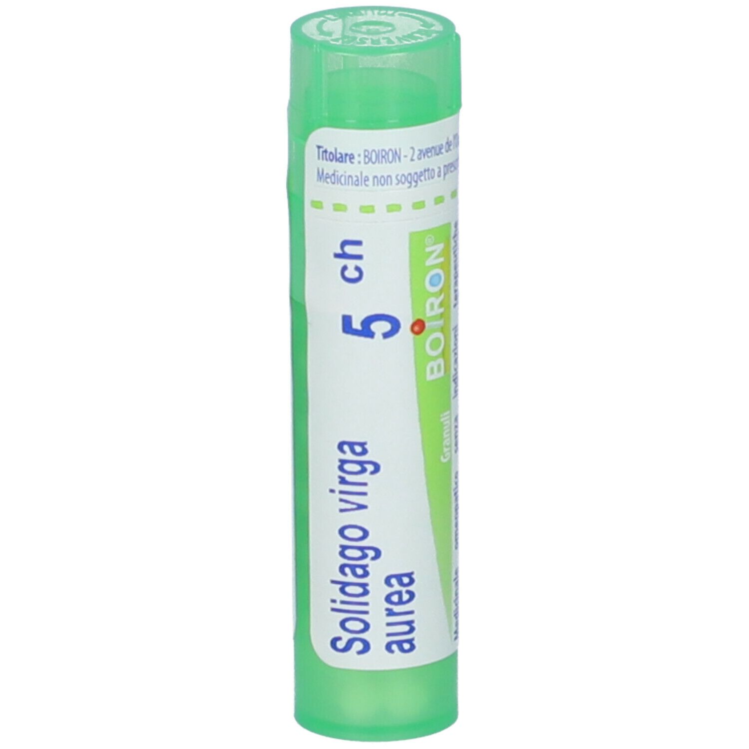 Solidago Virga Aurea 5Ch Gr