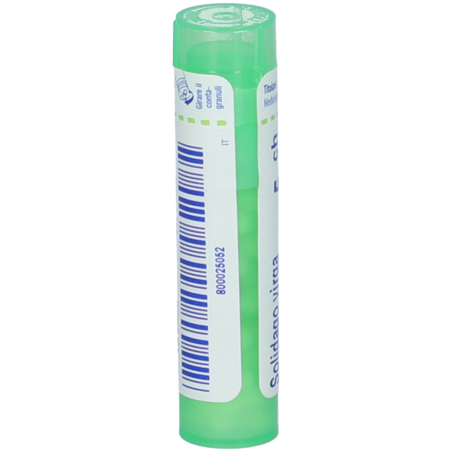Solidago Virga Aurea 5Ch Gr