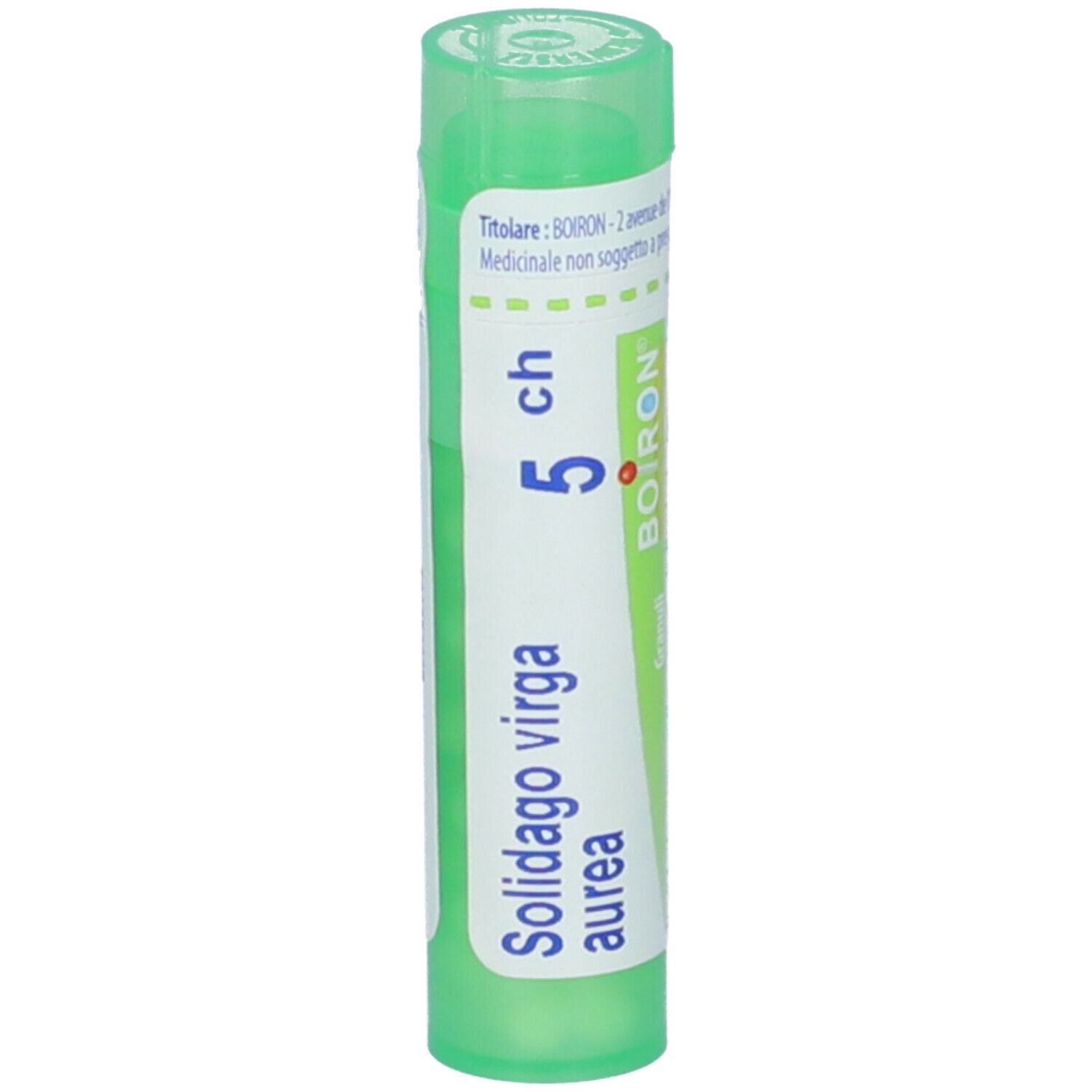 Solidago Virga Aurea 5Ch Gr