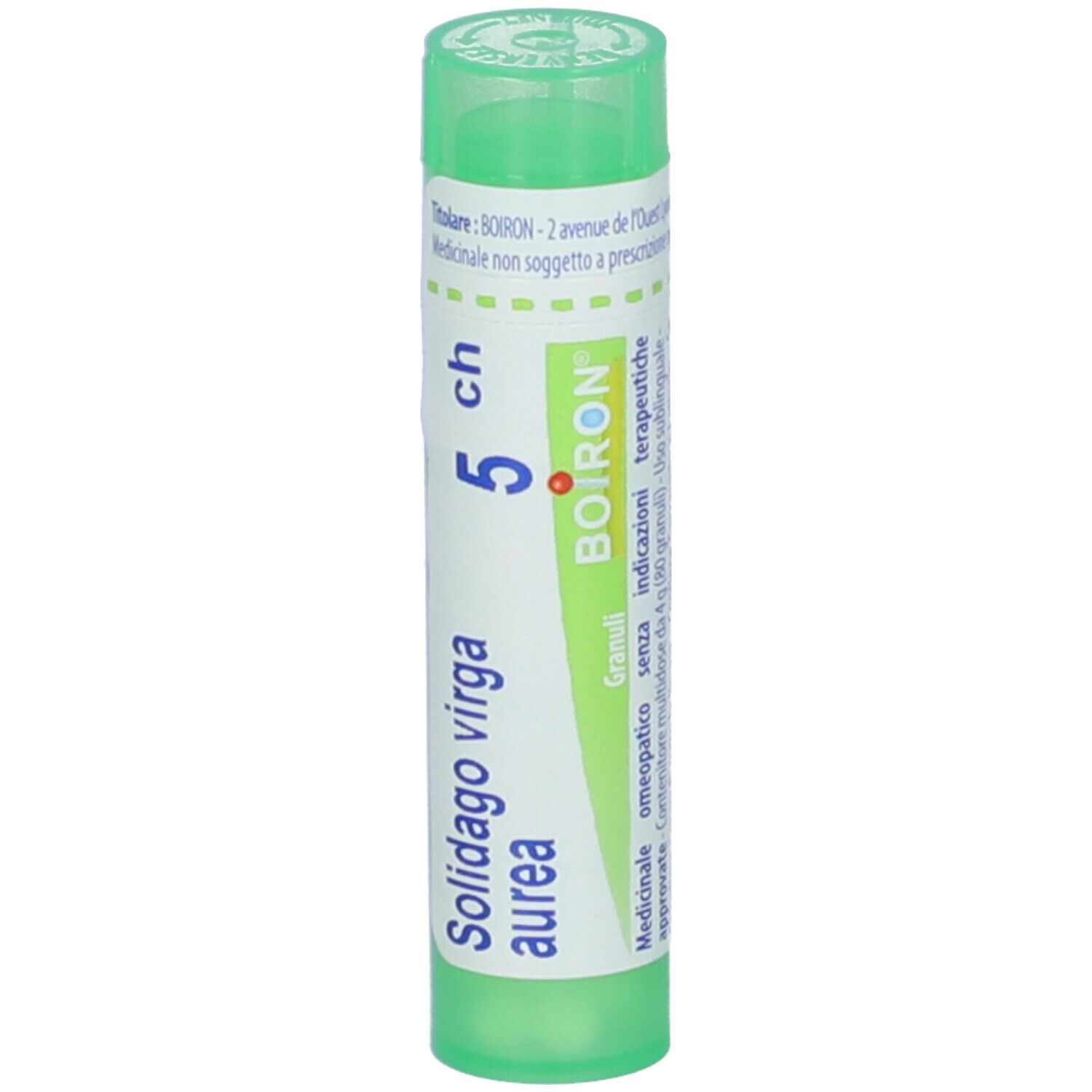 Solidago Virga Aurea 5Ch Gr