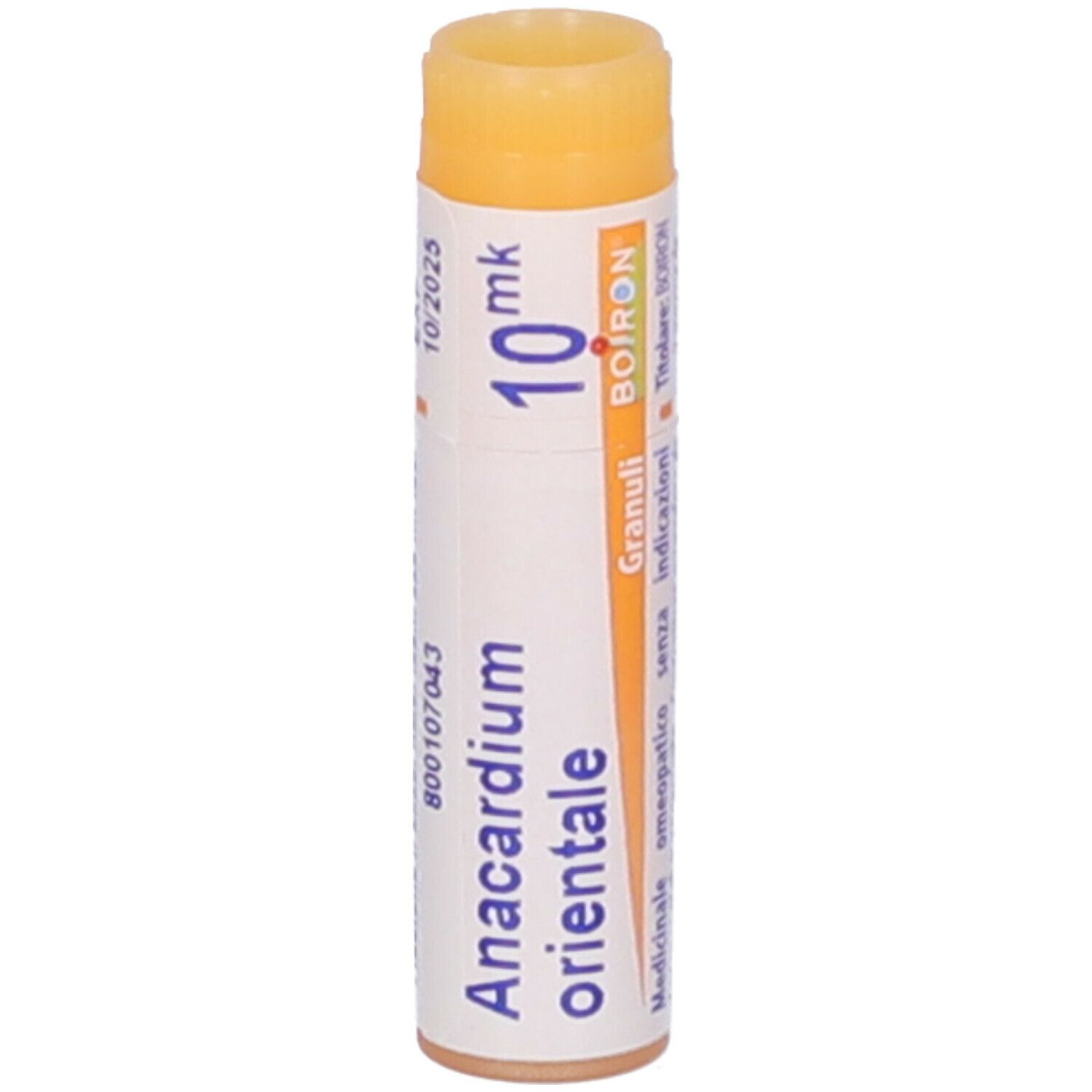 Anacardium Orien Xmk Gl