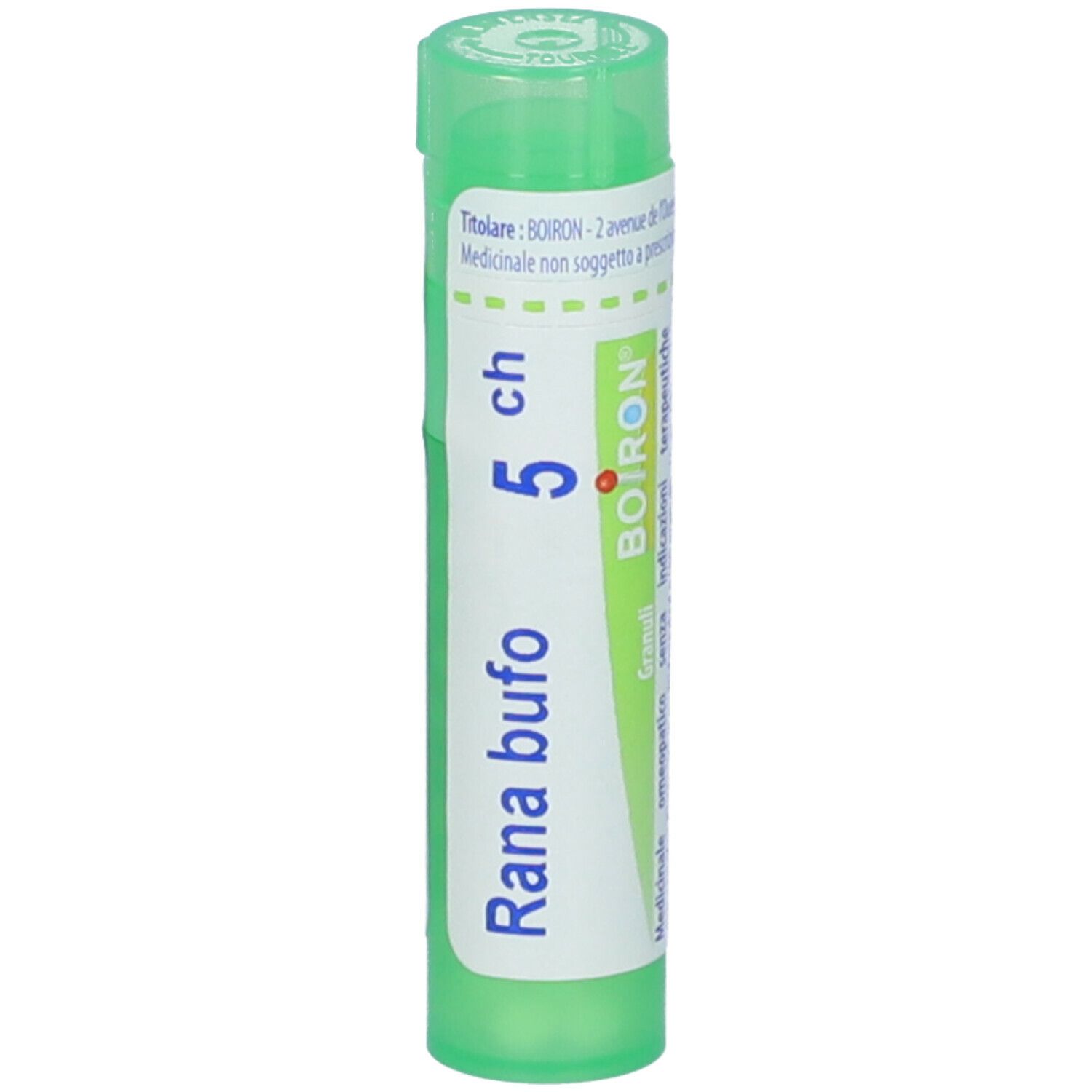 Rana Bufo 5Ch Gr
