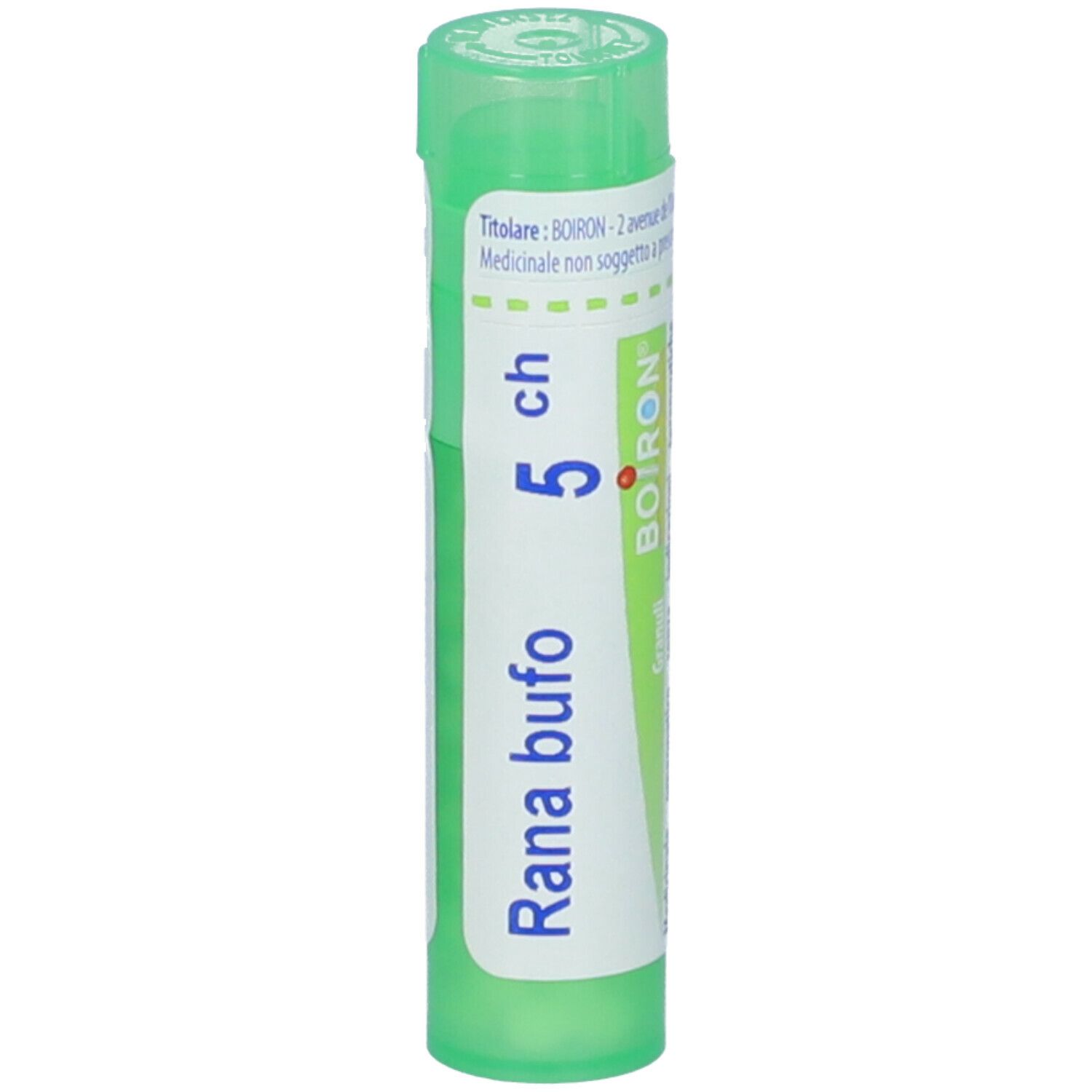Rana Bufo 5Ch Gr