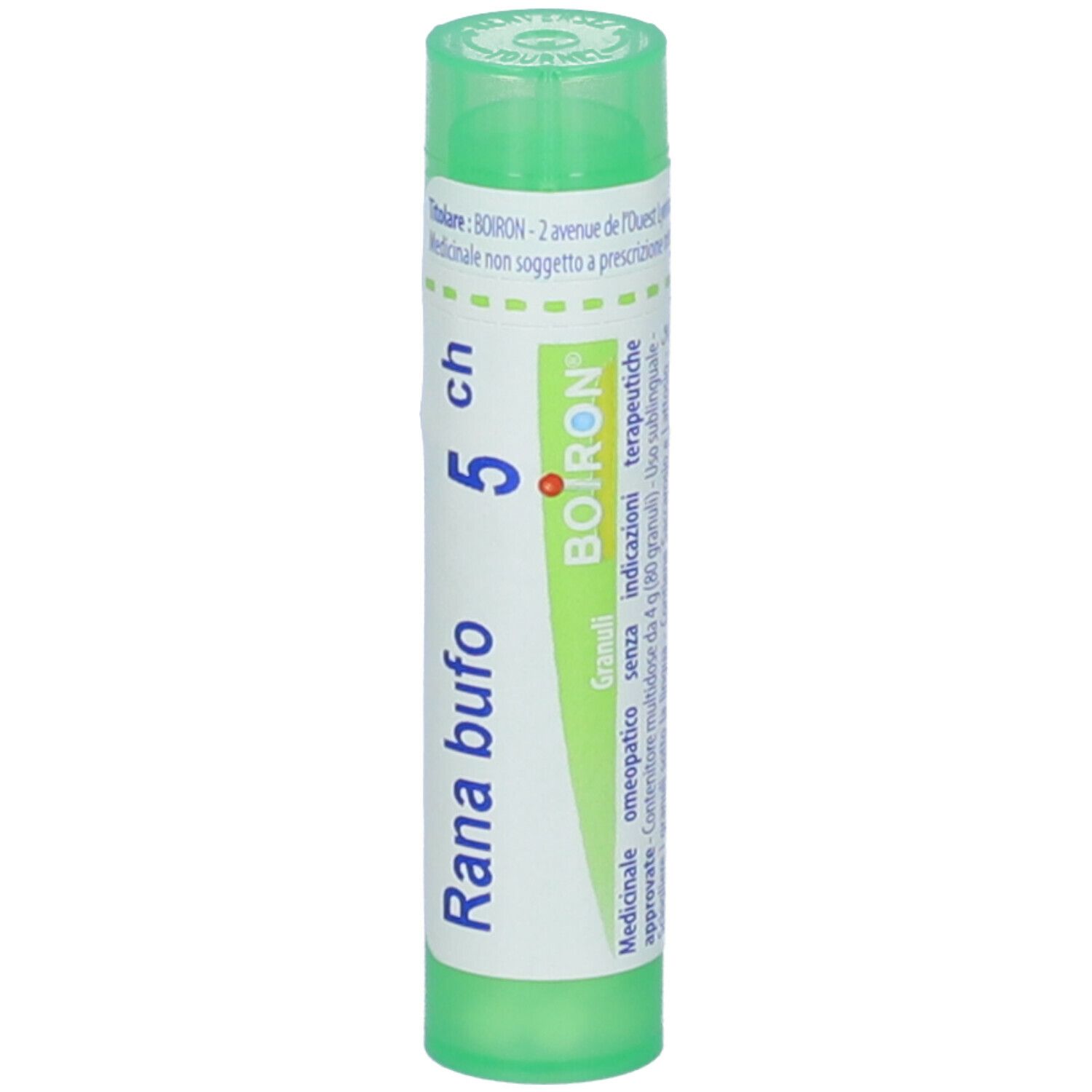 Rana Bufo 5Ch Gr