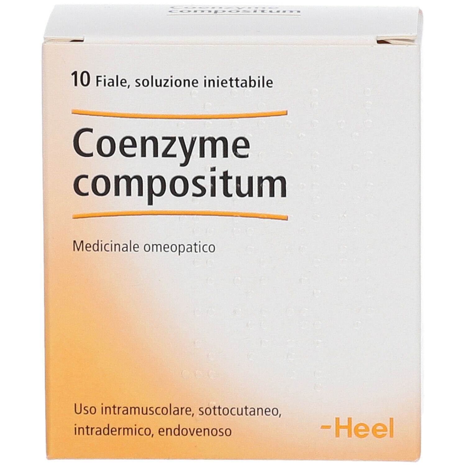 Heel Coenzyme Compositum 10 Fiale