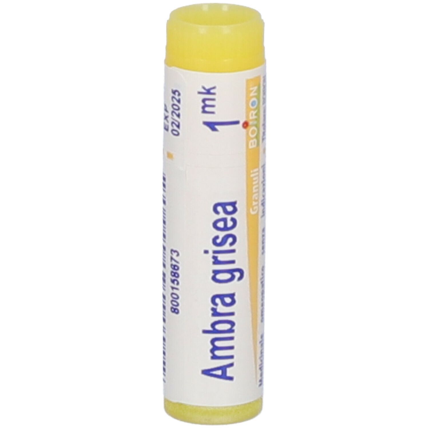 Ambra Grisea Mk Gl