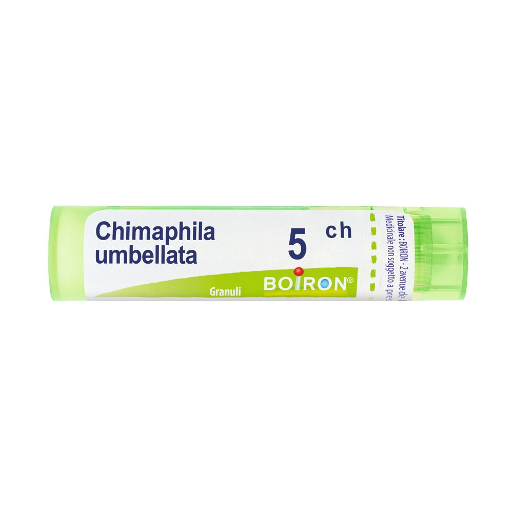 Chimaphila Umbel 5Ch Gr