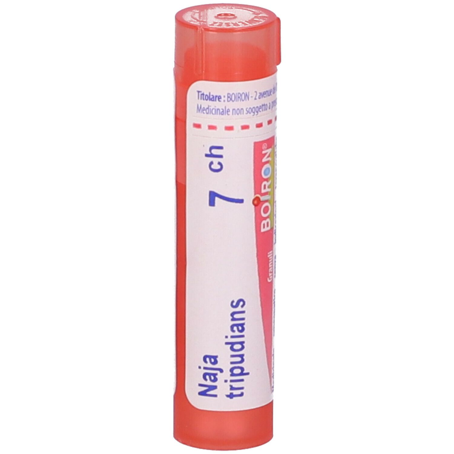 Naja Tripudians 7Ch Gr