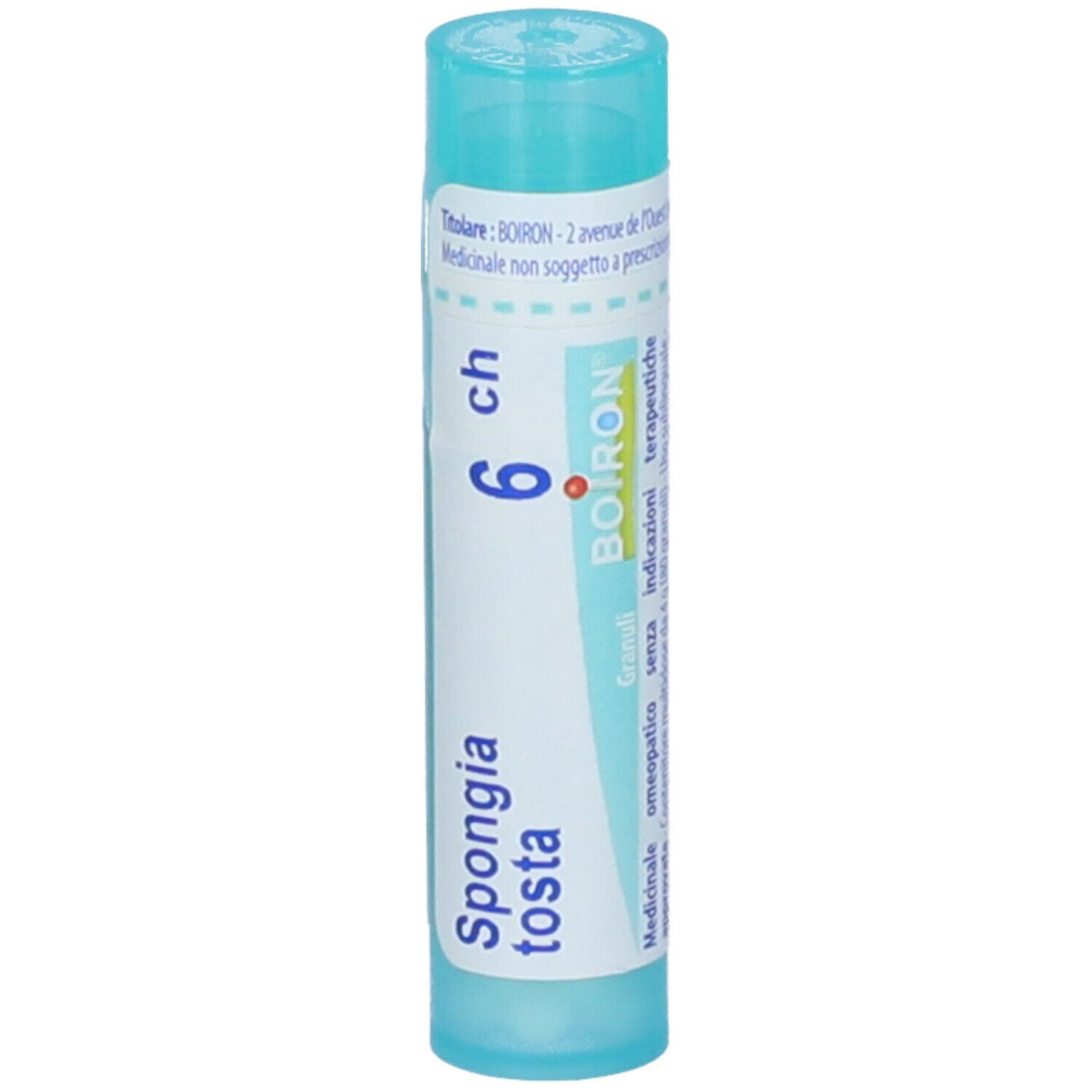 Spongia Tosta 6Ch Gr
