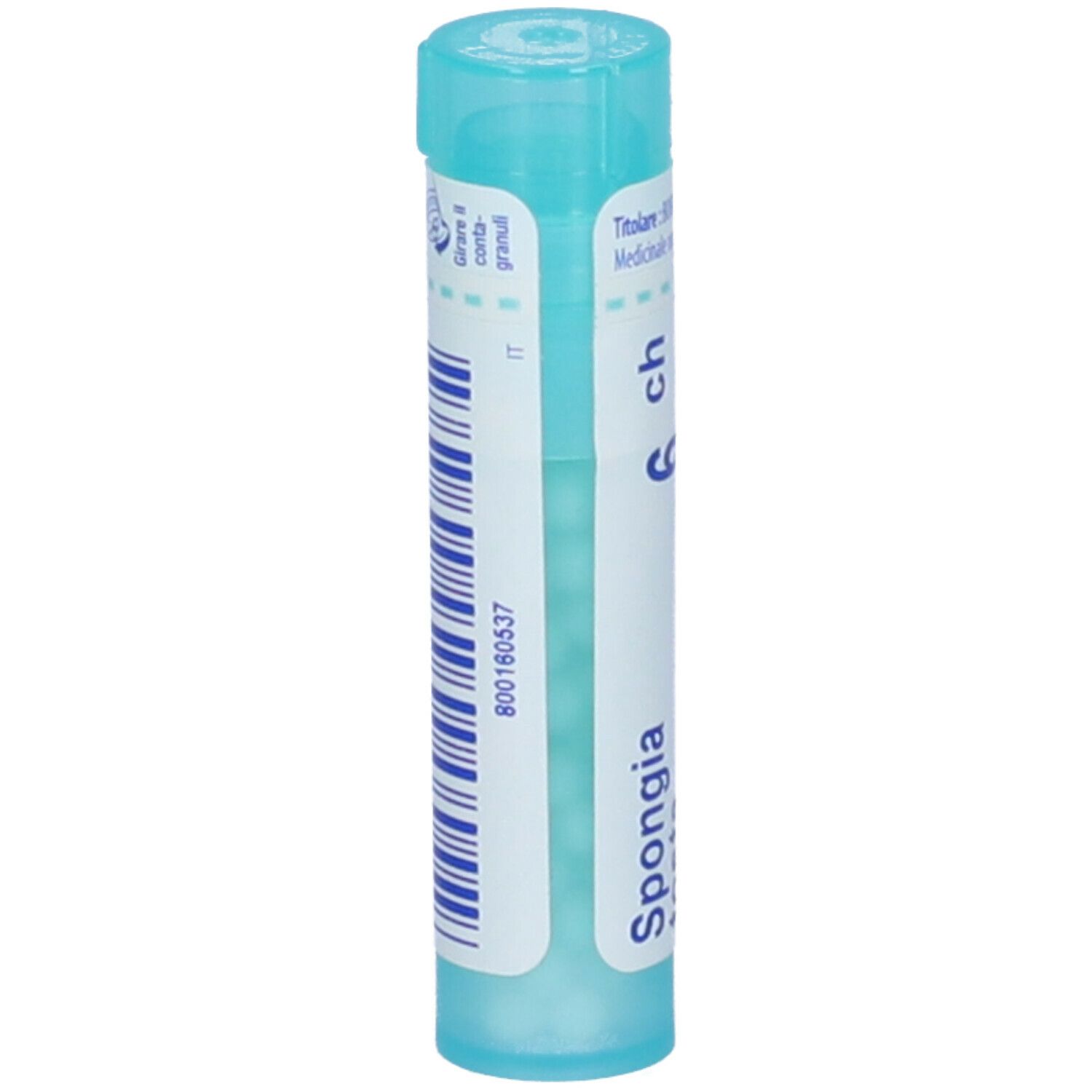 Spongia Tosta 6Ch Gr