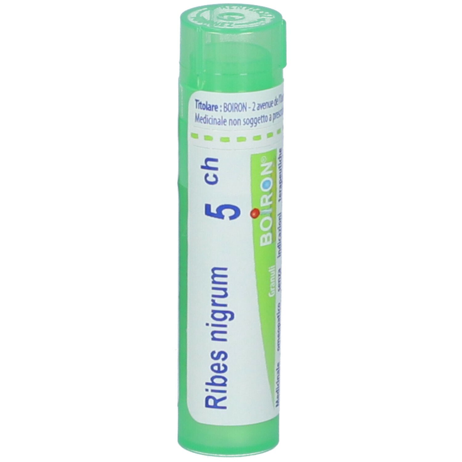 Ribes Nigrum 5Ch Gr