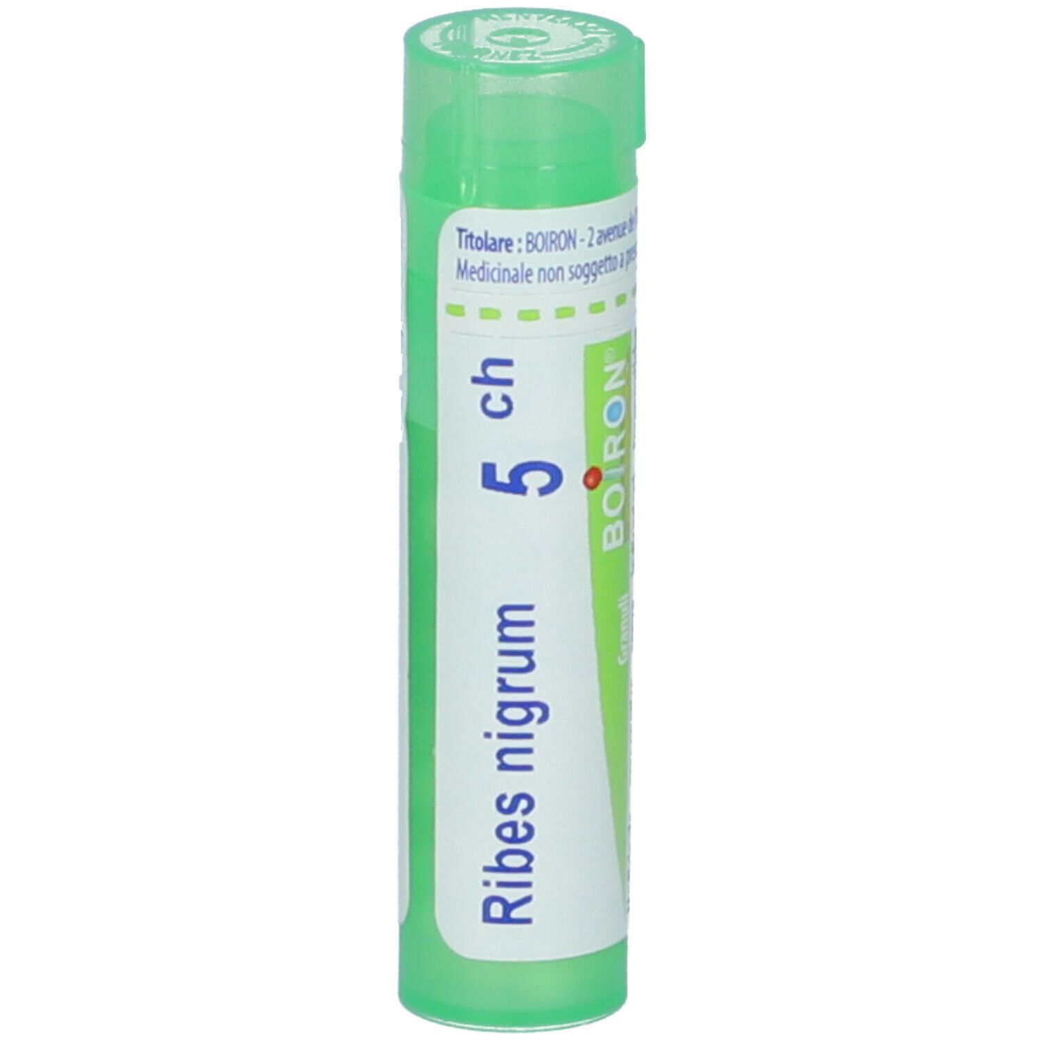Ribes Nigrum 5Ch Gr