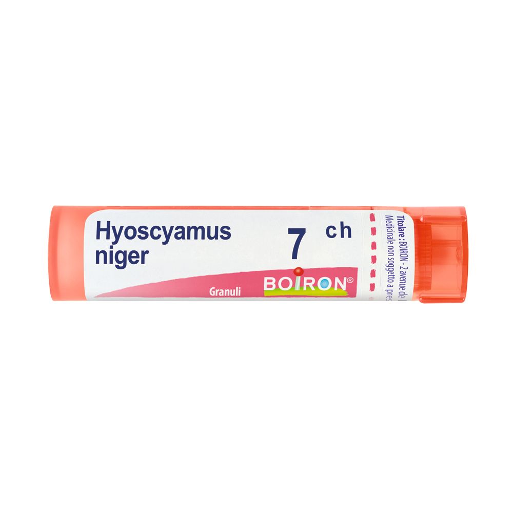 Hyoscyamus Niger 7Ch Gr