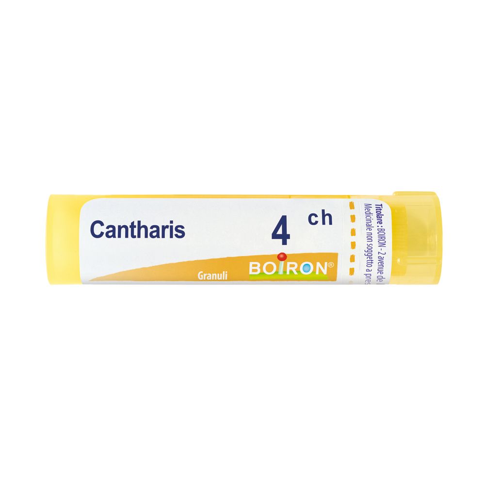 Cantharis 4Ch Gr