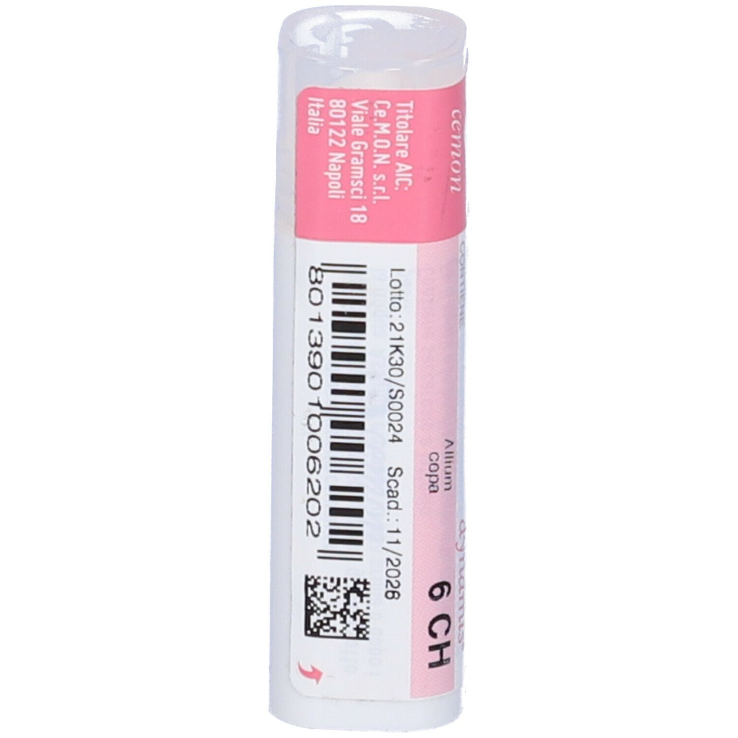 Allium Cepa 6Ch Gr