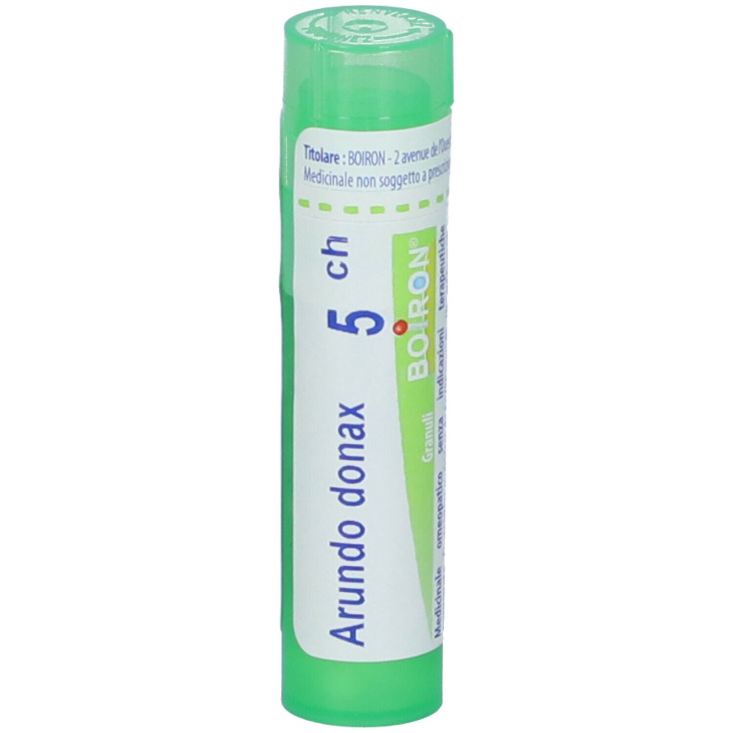 Arundo Donax 5Ch Gr