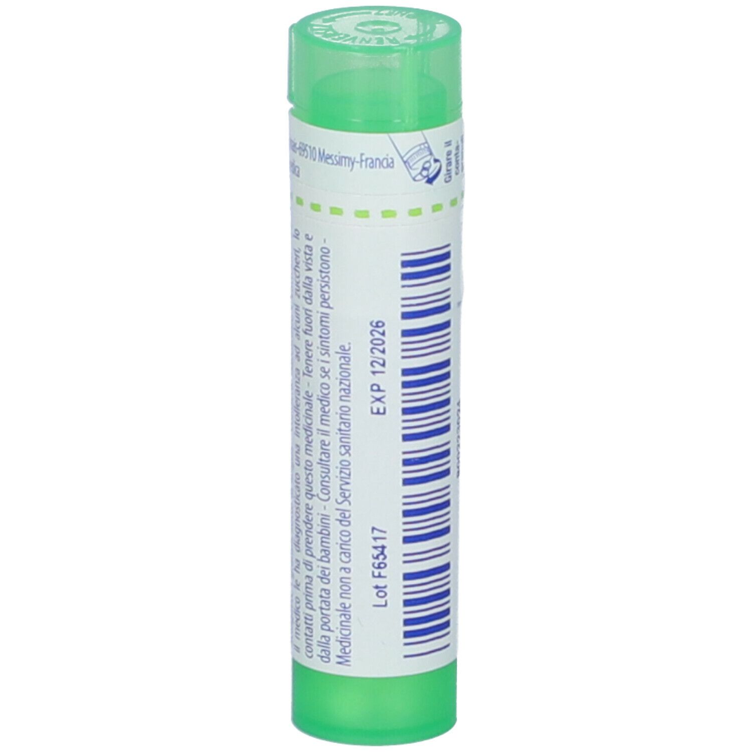 Arundo Donax 5Ch Gr