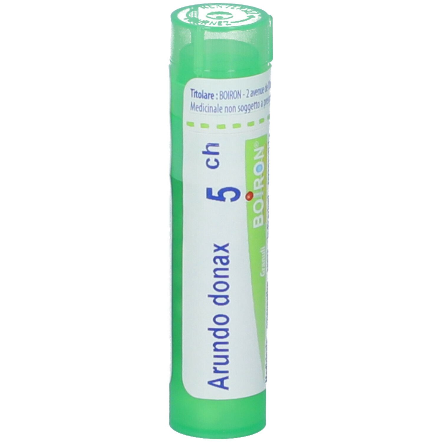Arundo Donax 5Ch Gr