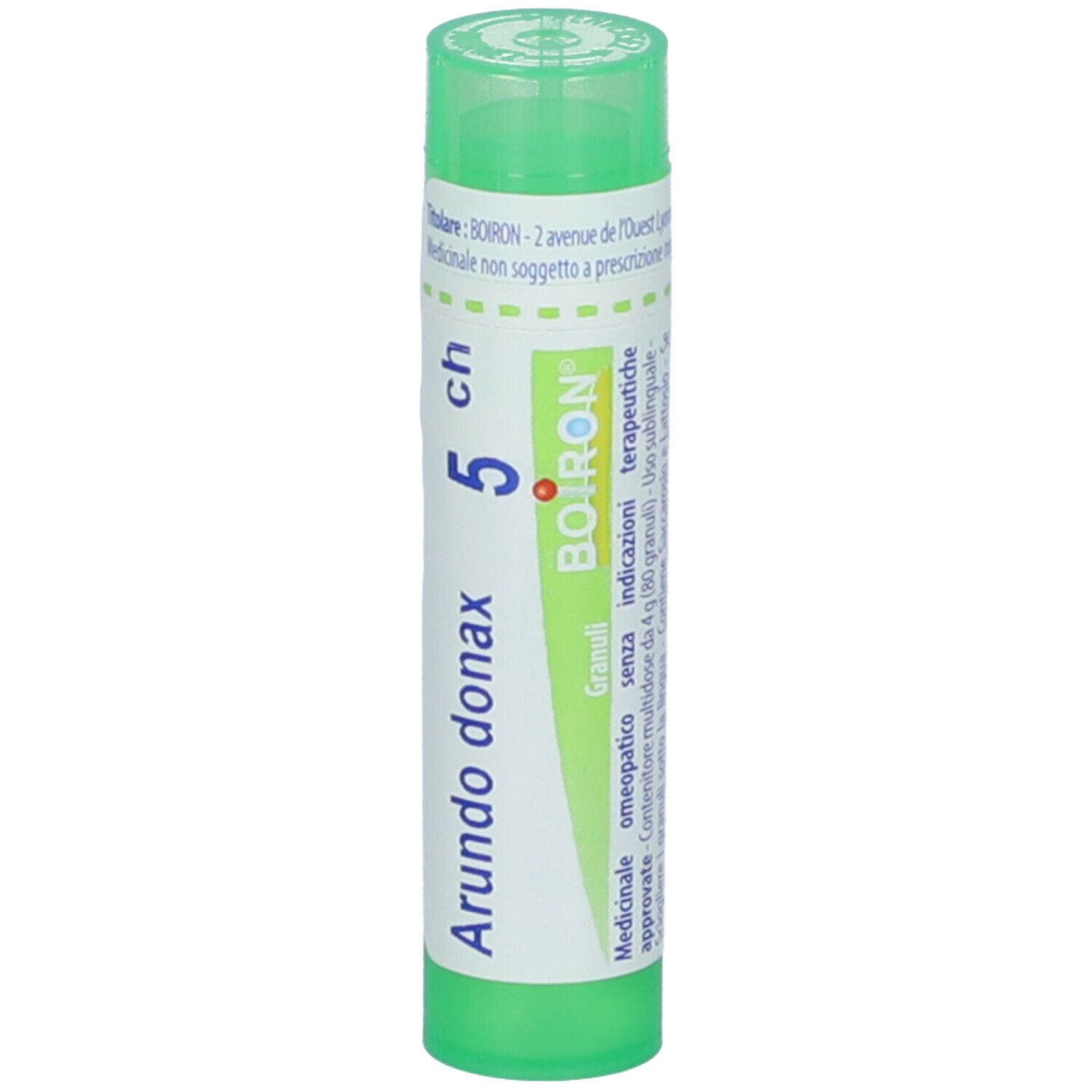 Arundo Donax 5Ch Gr