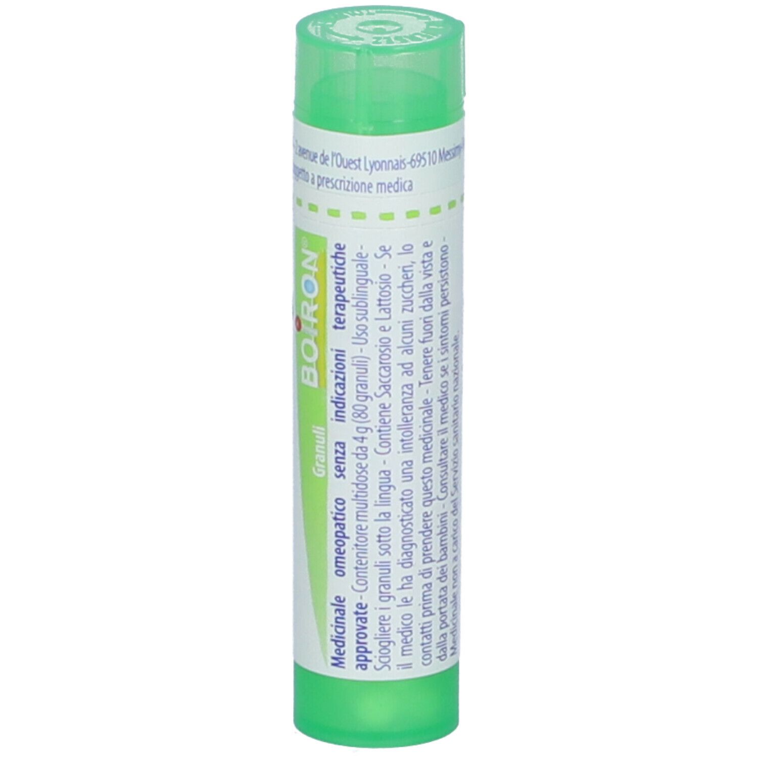 Arundo Donax 5Ch Gr