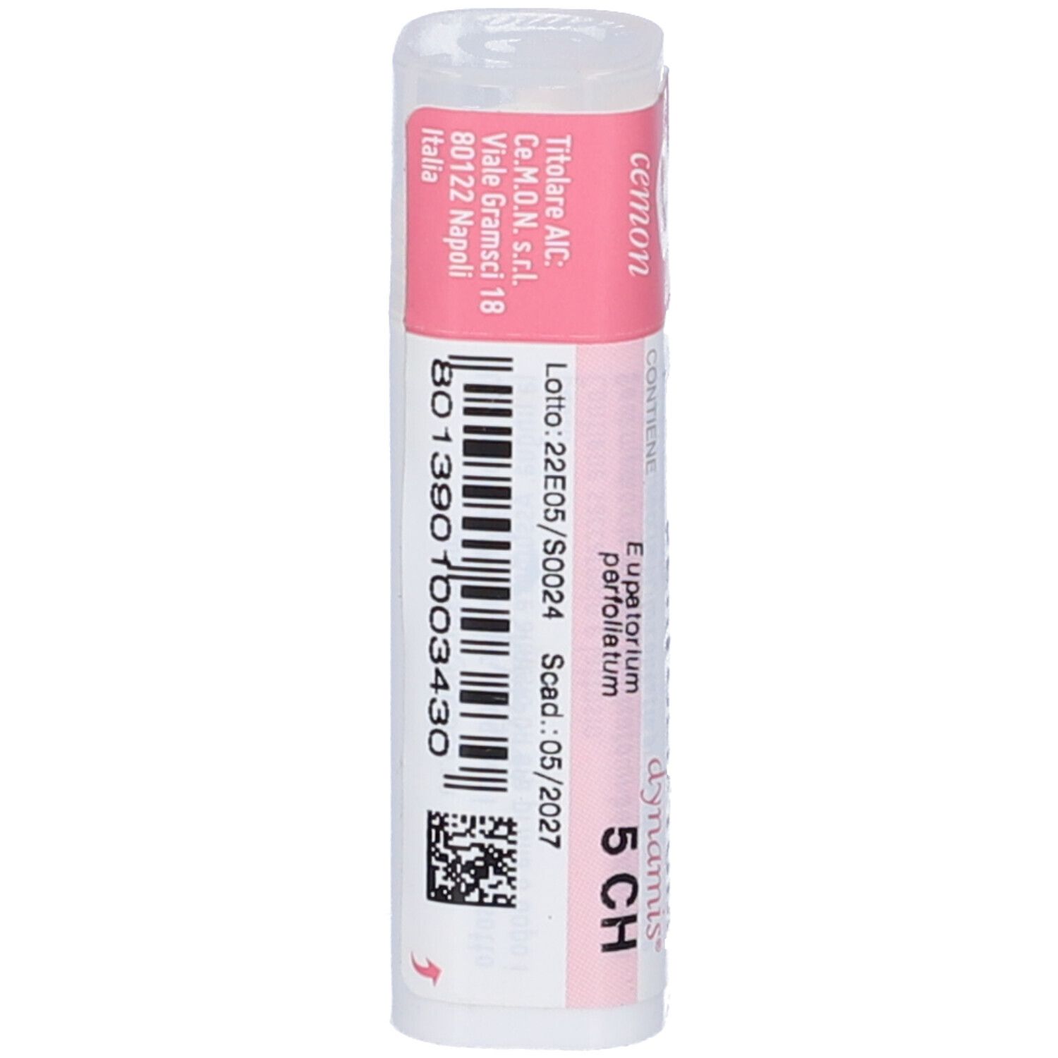 Eupatorium Perfoliat 5Ch Gr
