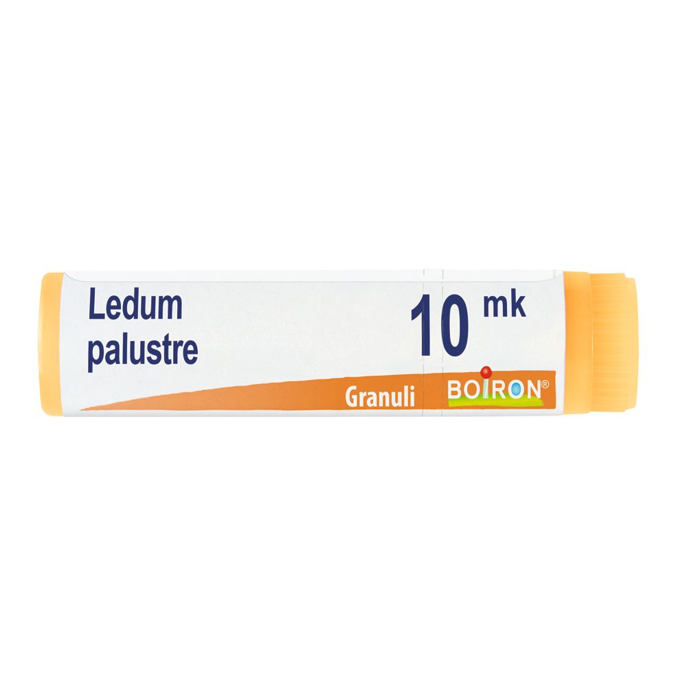 Ledum Palustre Xmk Gl