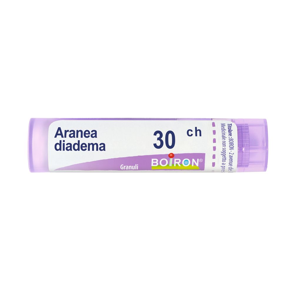 Aranea Diadema 30Ch Gr