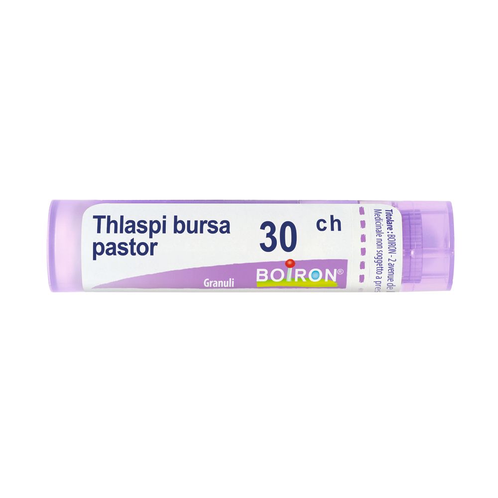 Thlaspi Bursa Past 30Ch Gr