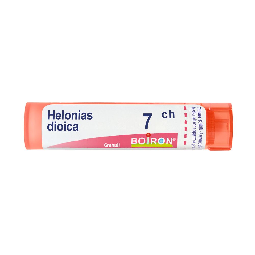 Helonias Dioica 7Ch Gr
