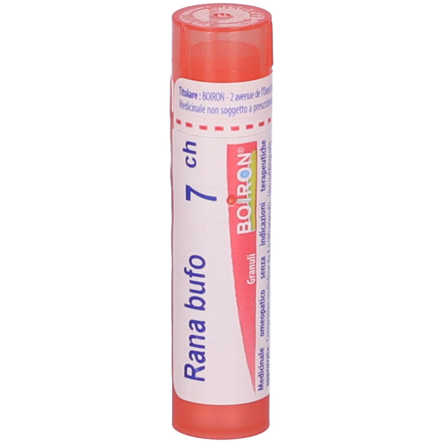 Rana Bufo 7Ch Gr