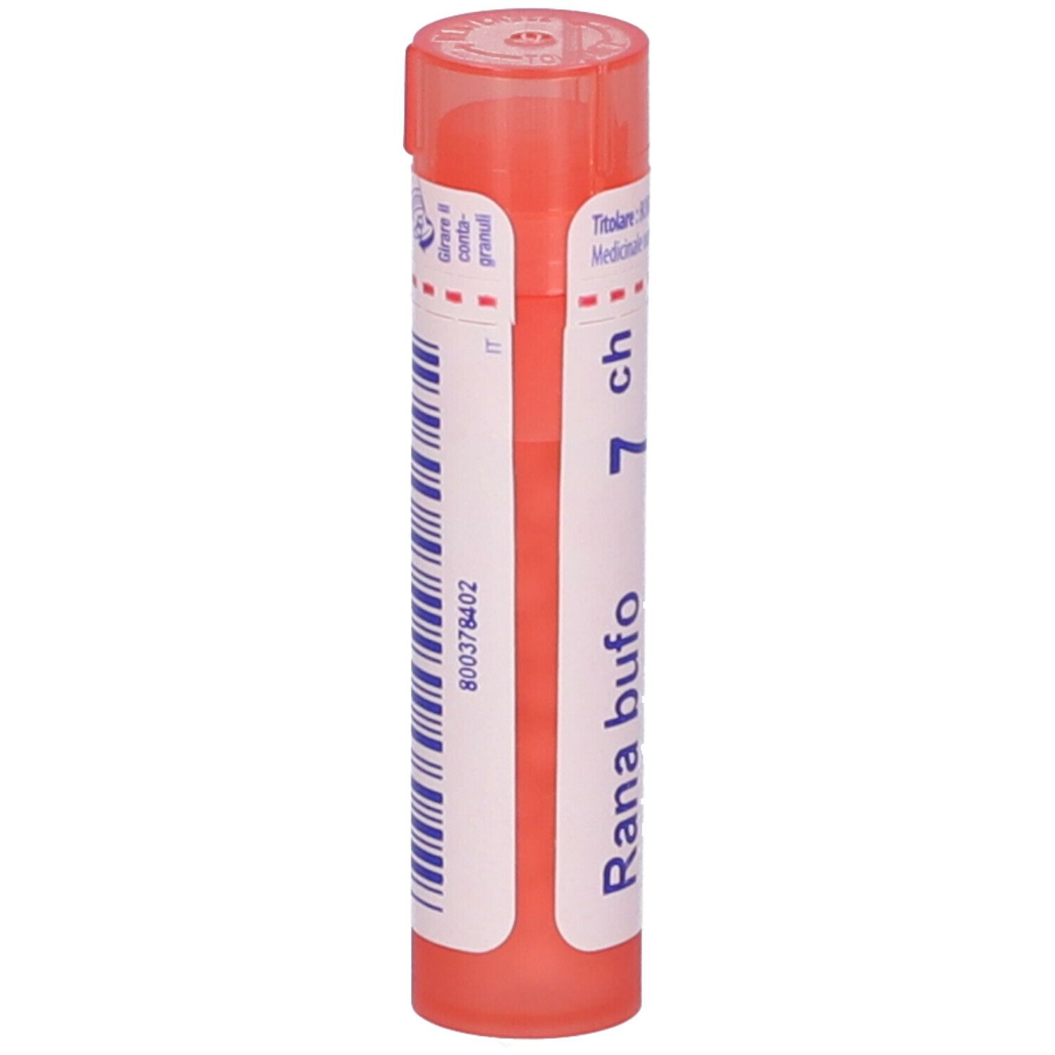 Rana Bufo 7Ch Gr