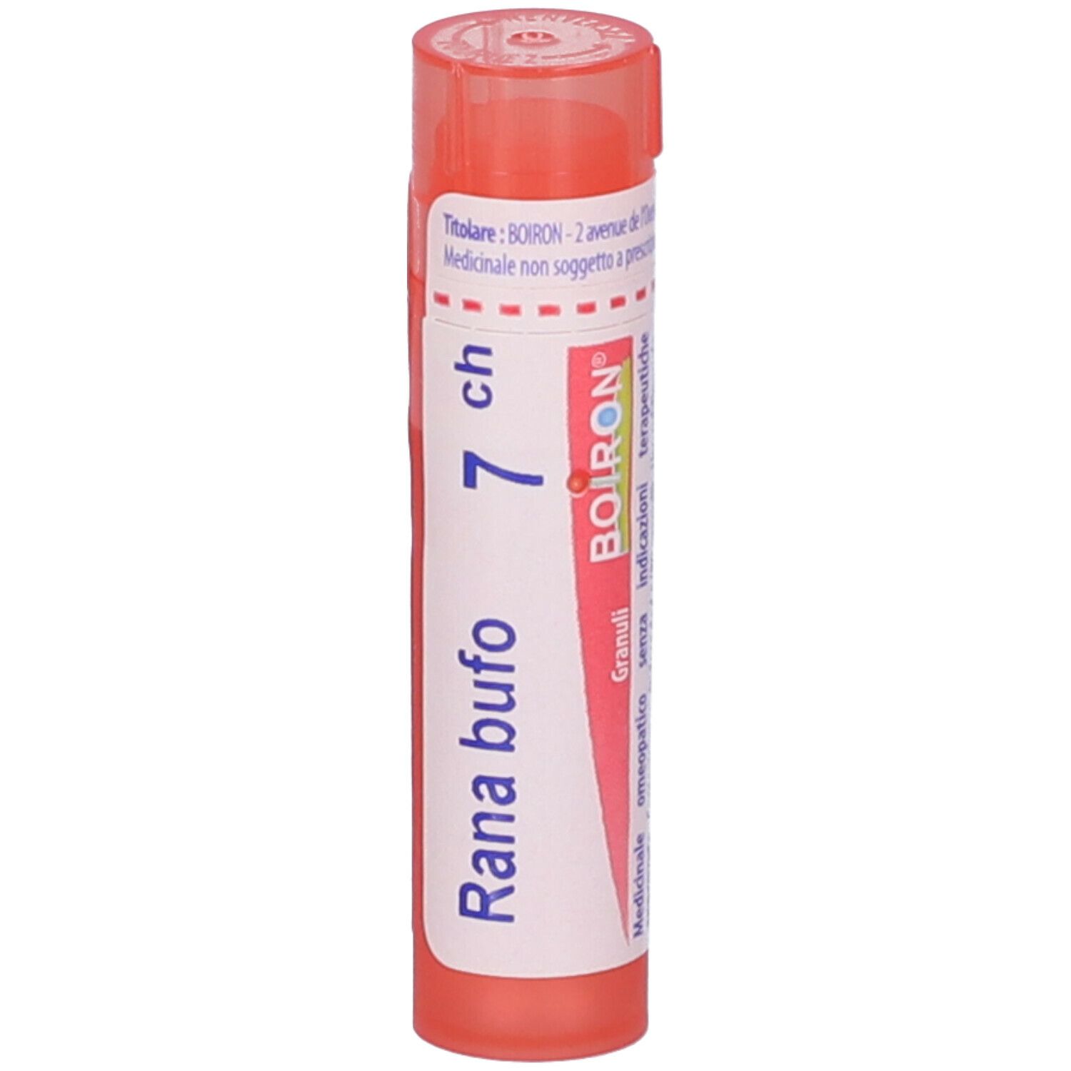 Rana Bufo 7Ch Gr
