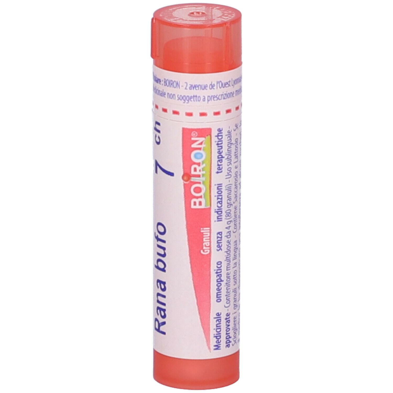 Rana Bufo 7Ch Gr
