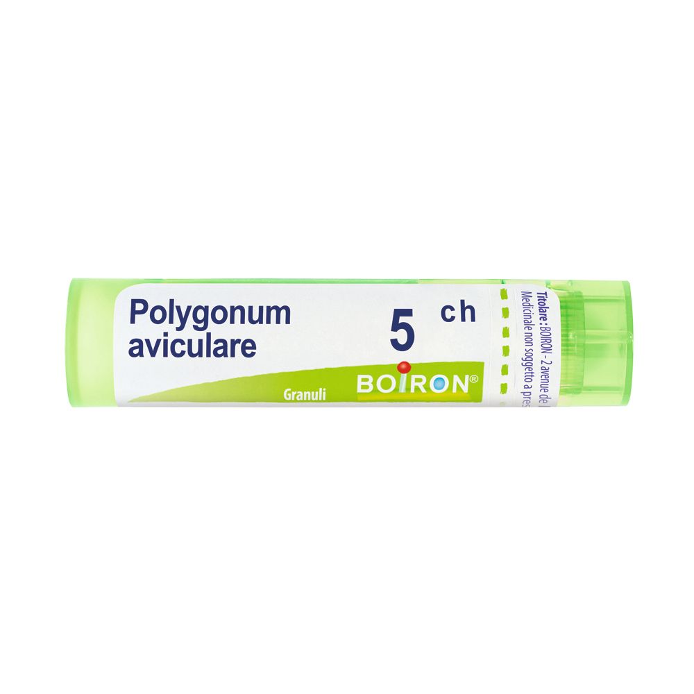 Polygonum Aviculare 5Ch Gr