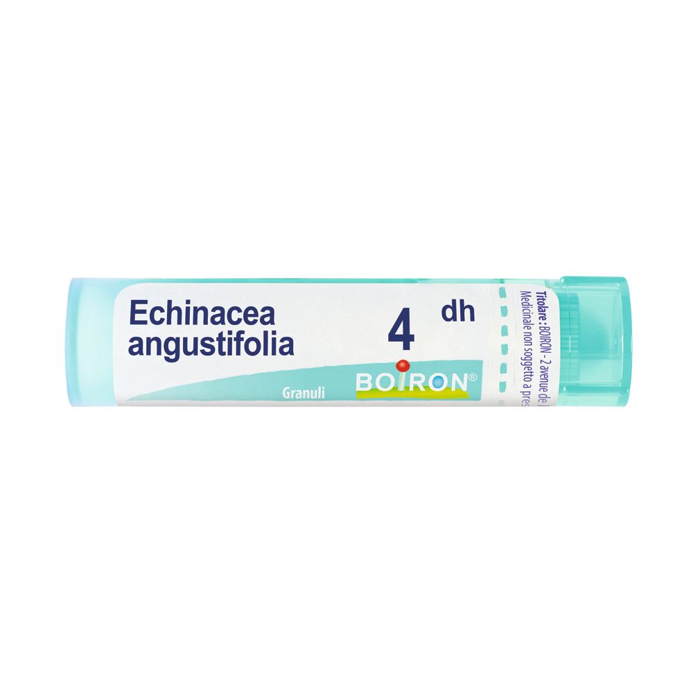 Echinacea Angust 4Dh Gr