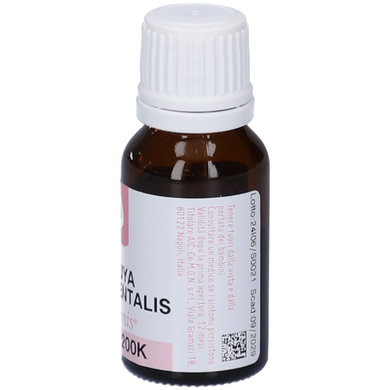Thuya Occident 200K 10Ml Gtt