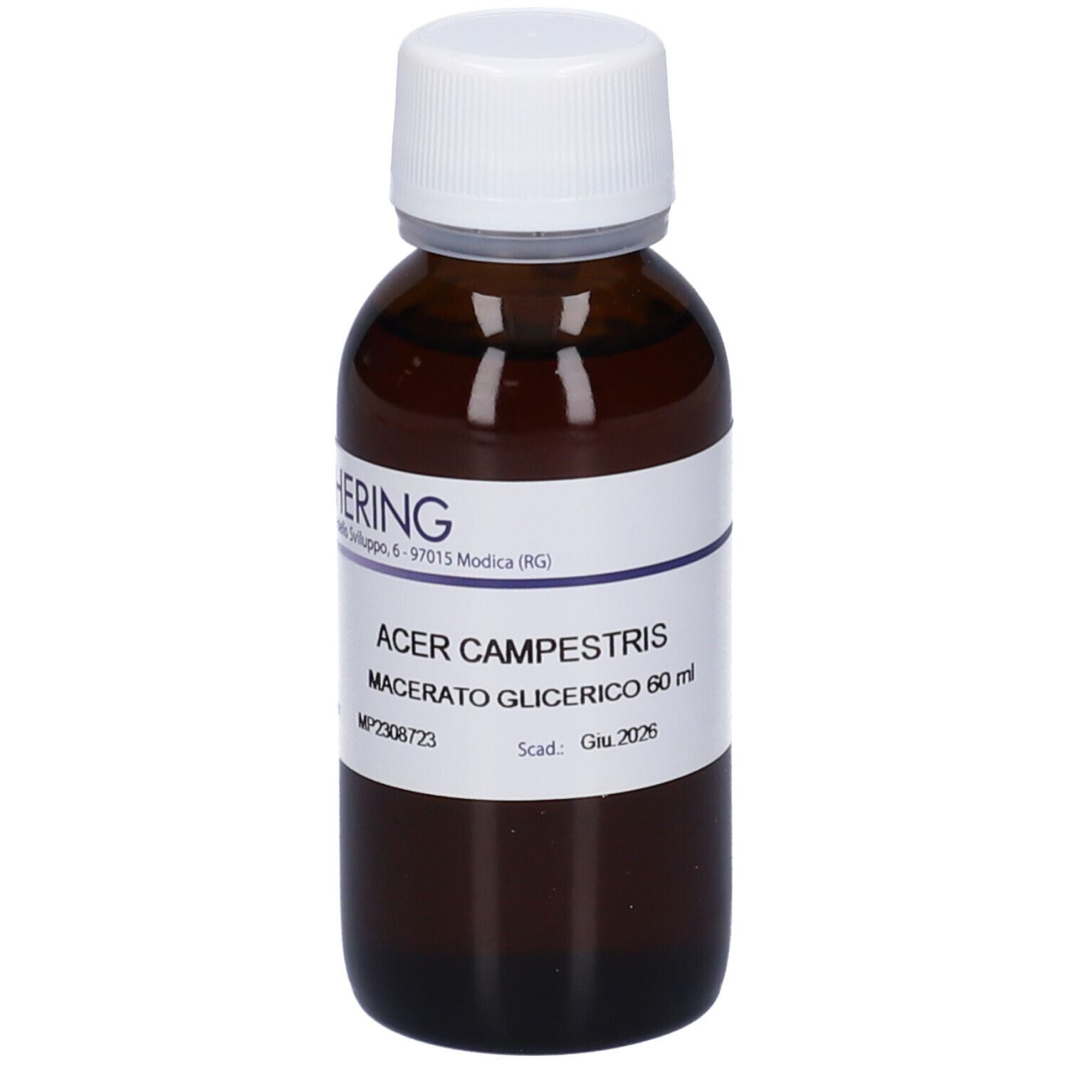 HERING Acer Campestre Gemmeme Macerato Glicerico