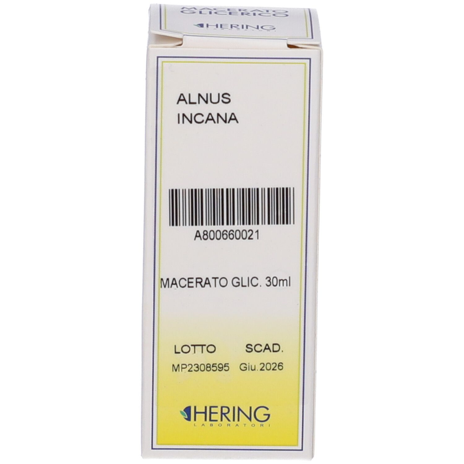 HERING Alnus Incana Macerato Glicerico