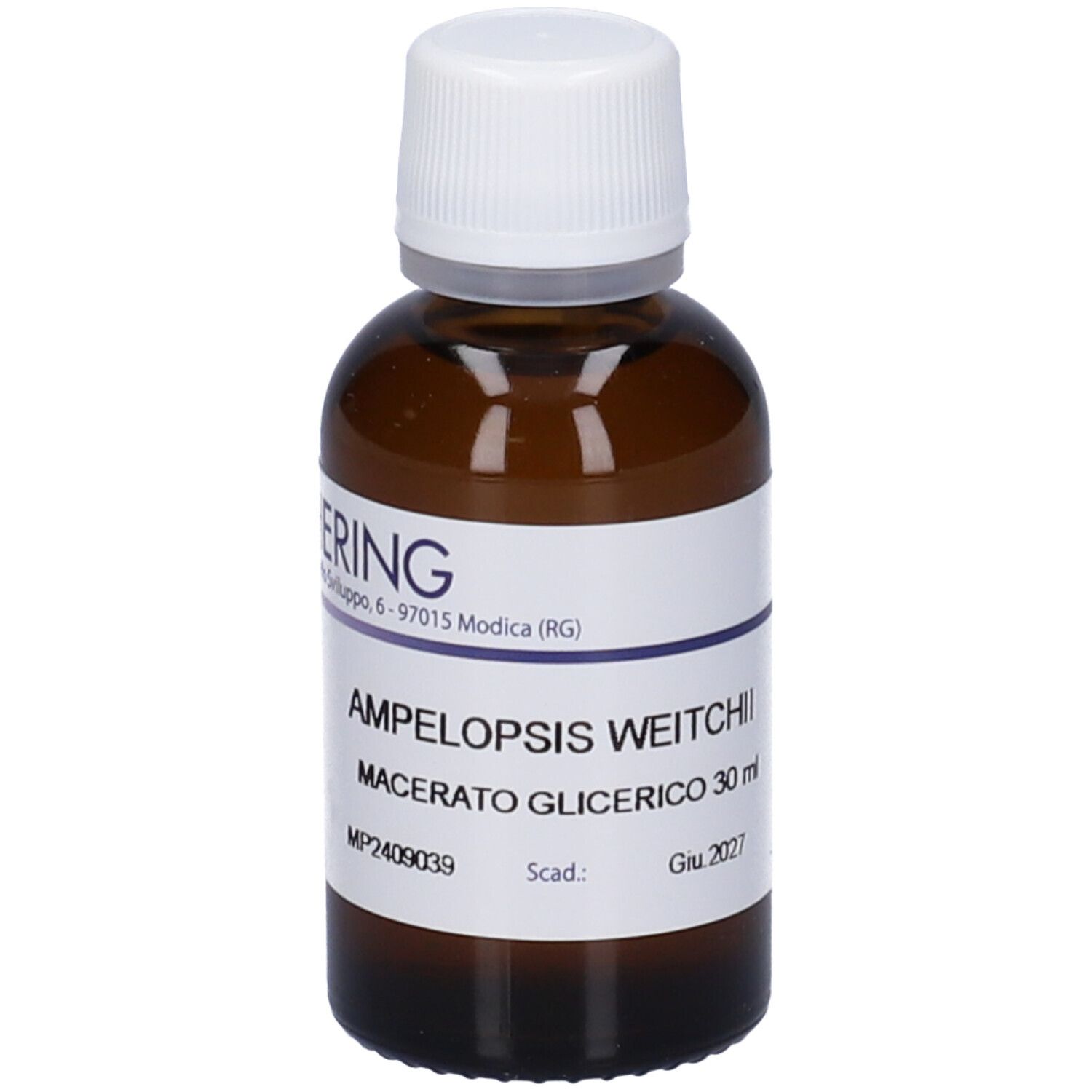 HERING Ampelopsis Weitchii Germogli Macerato Glicerico