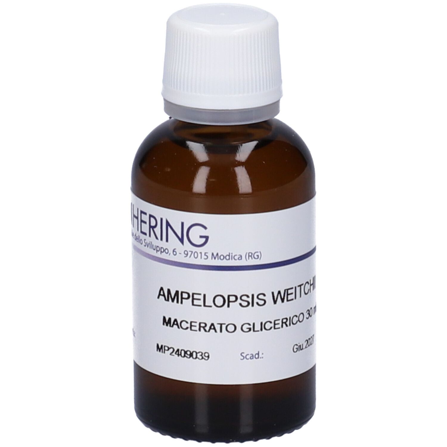 HERING Ampelopsis Weitchii Germogli Macerato Glicerico