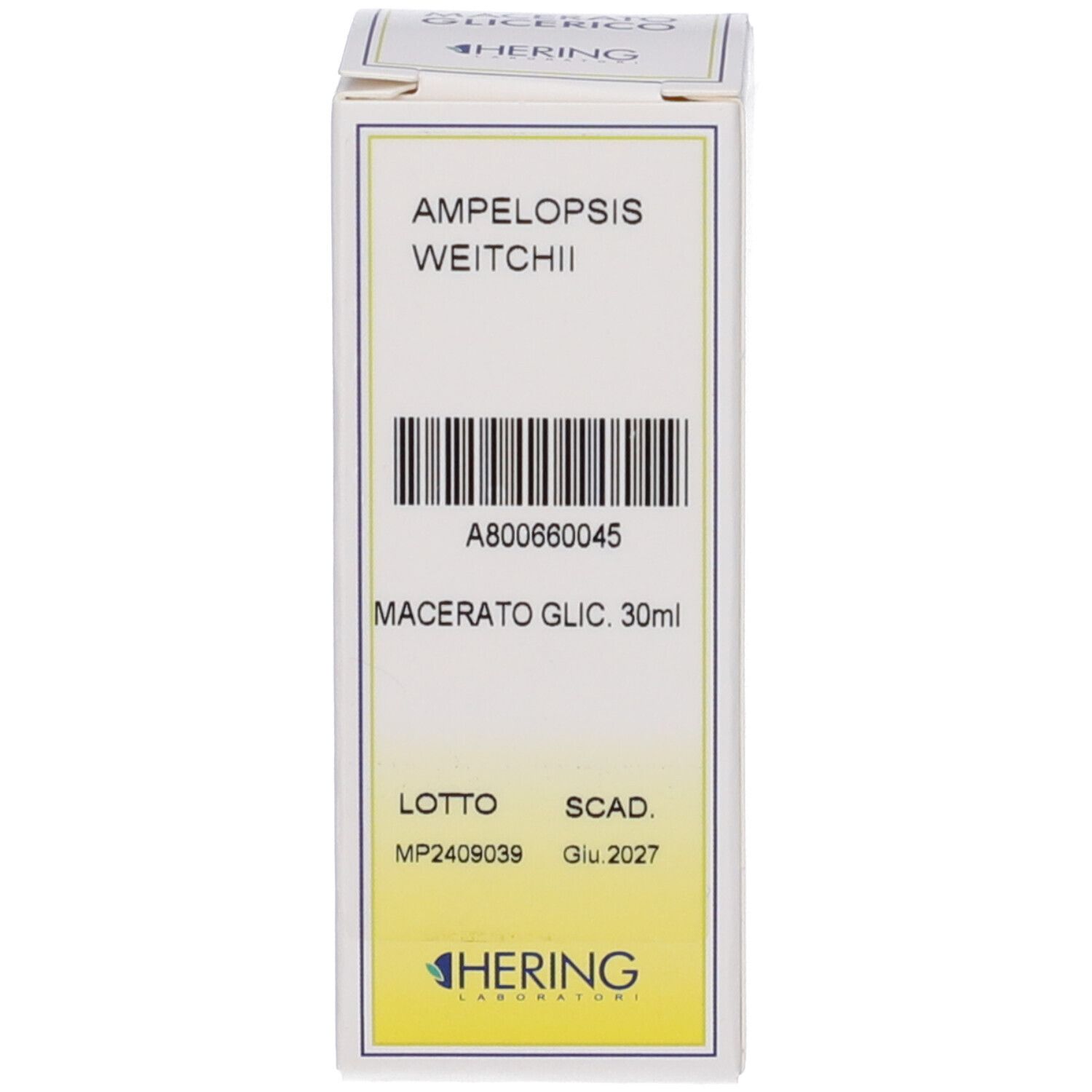 HERING Ampelopsis Weitchii Germogli Macerato Glicerico